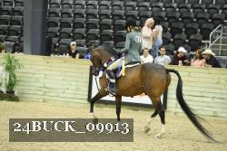 24BUCK_09913 thumbnail