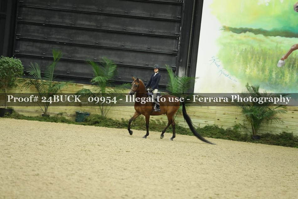 Proof Number 24BUCK_09954
