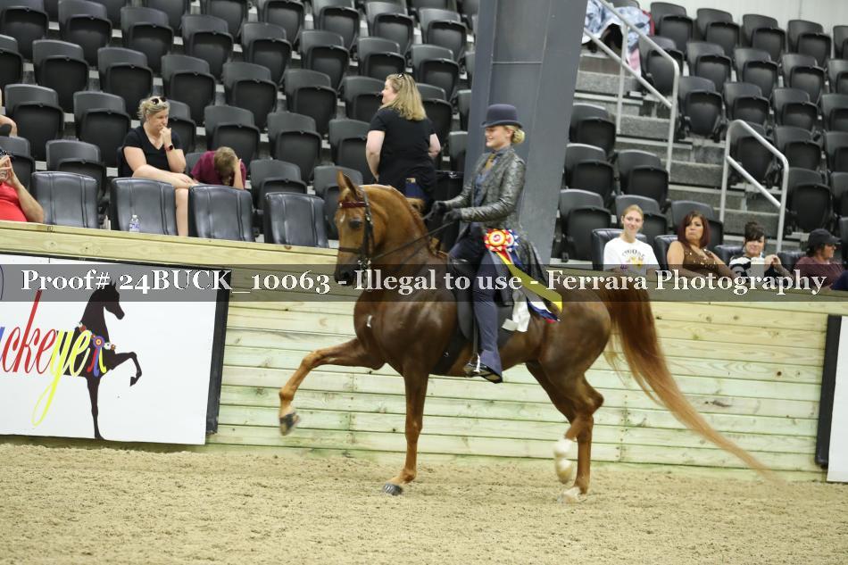 Proof Number 24BUCK_10063