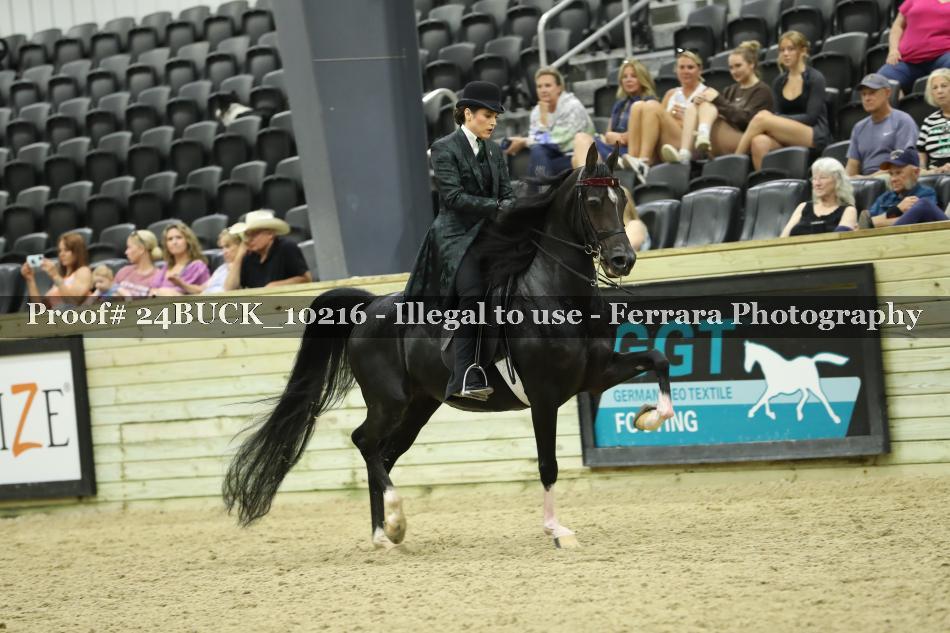 Proof Number 24BUCK_10216