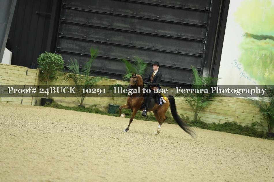 Proof Number 24BUCK_10291