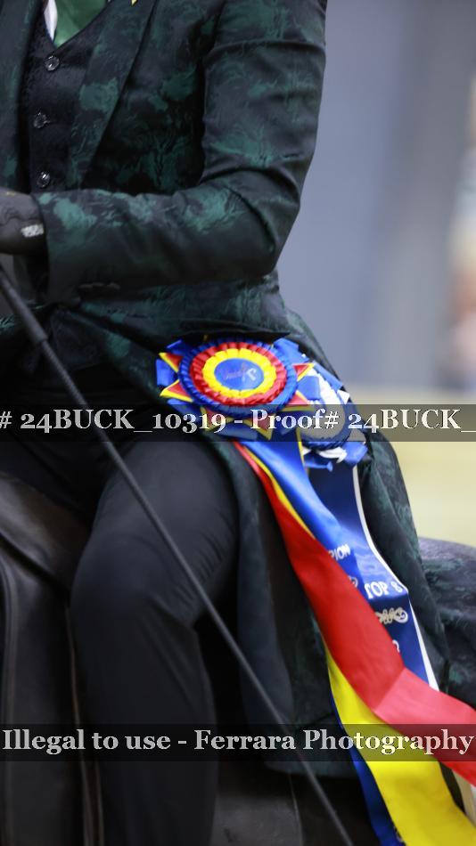 Proof Number 24BUCK_10319