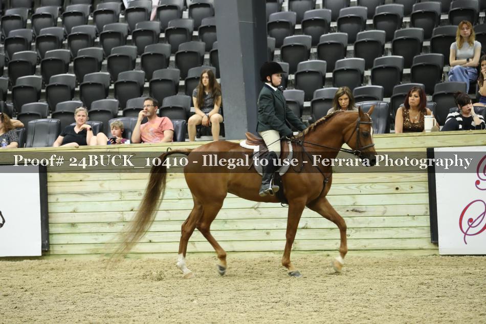 Proof Number 24BUCK_10410