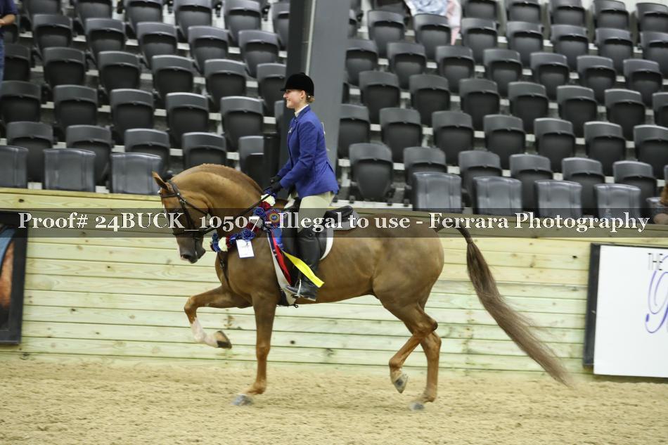 Proof Number 24BUCK_10507