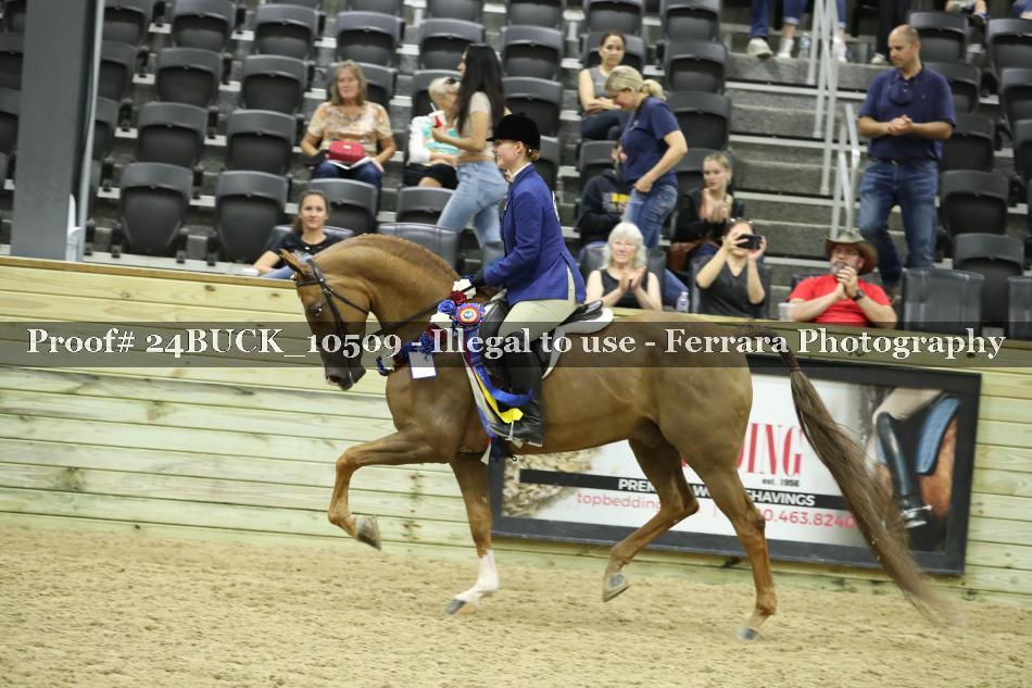 Proof Number 24BUCK_10509