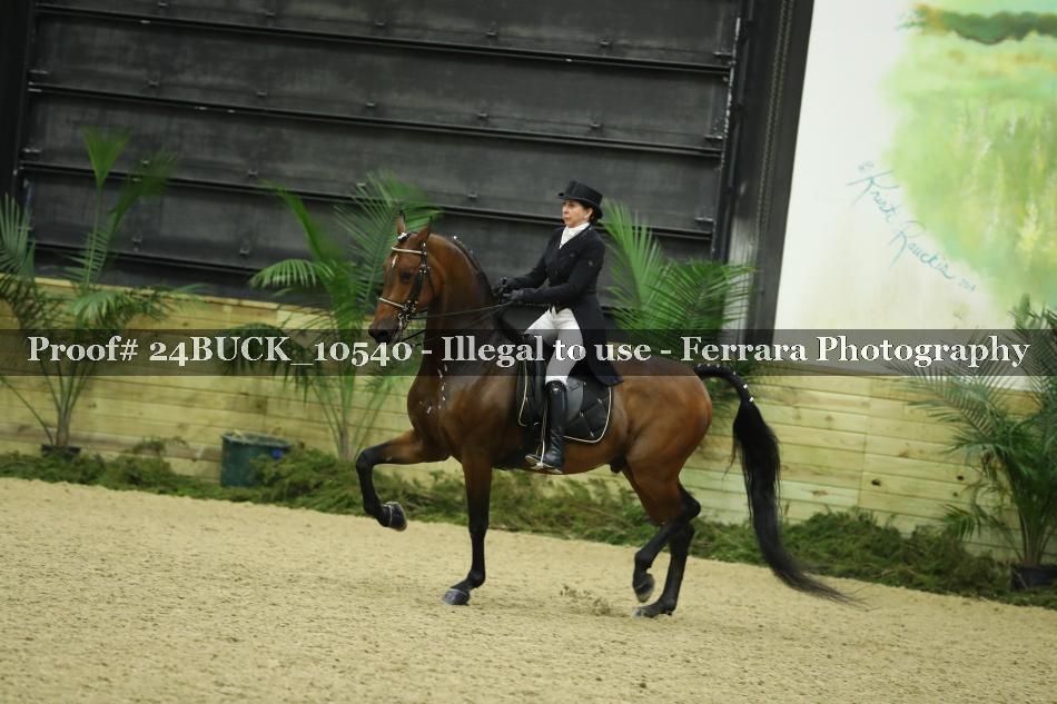 Proof Number 24BUCK_10540