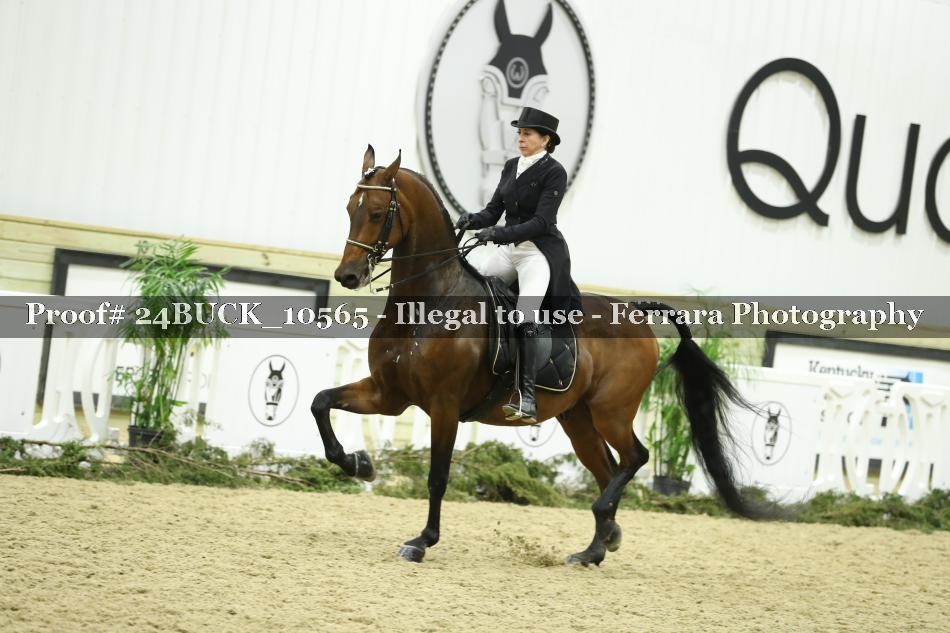 Proof Number 24BUCK_10565
