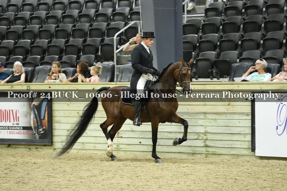Proof Number 24BUCK_10606