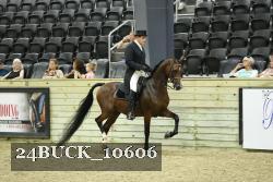 24BUCK_10606 thumbnail