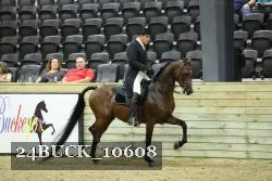 24BUCK_10608 thumbnail