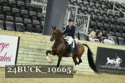 24BUCK_10665 thumbnail