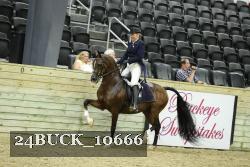 24BUCK_10666 thumbnail