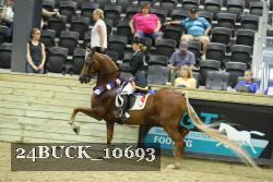 24BUCK_10693 thumbnail