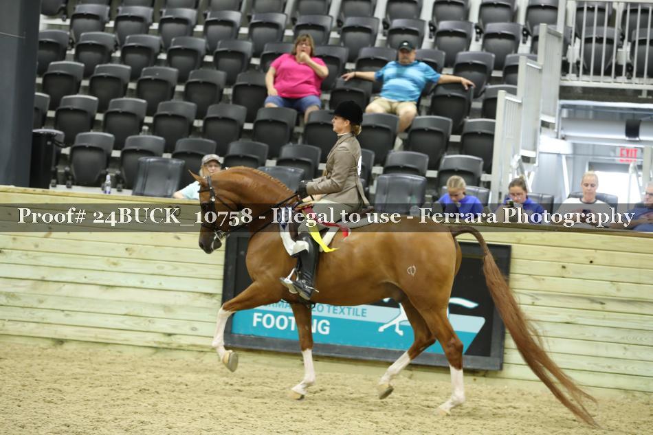 Proof Number 24BUCK_10758