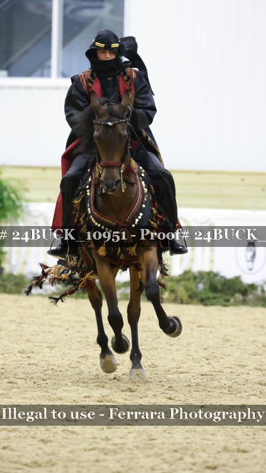 Proof Number 24BUCK_10951