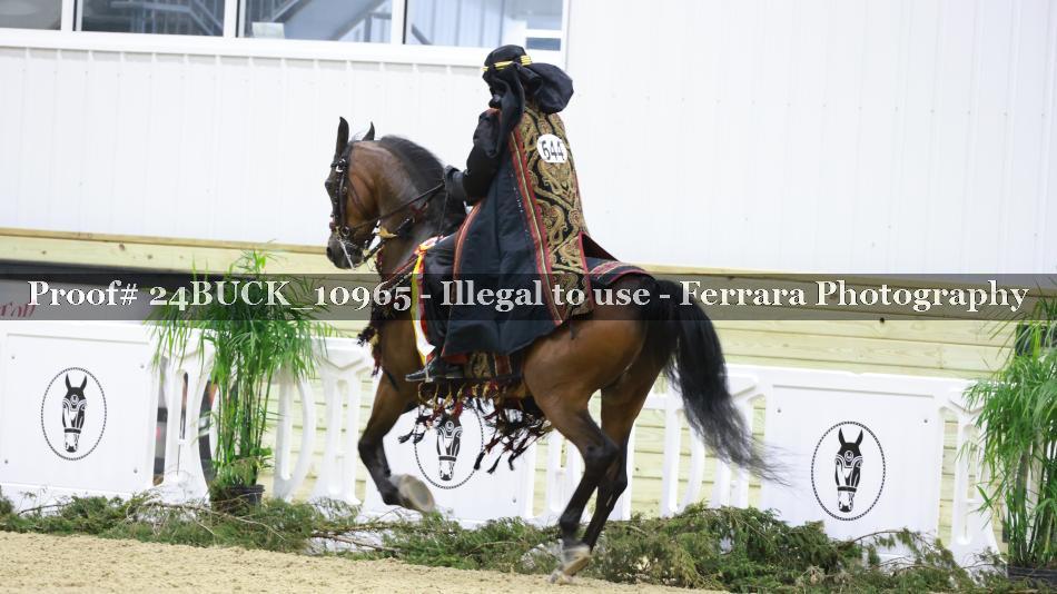 Proof Number 24BUCK_10965