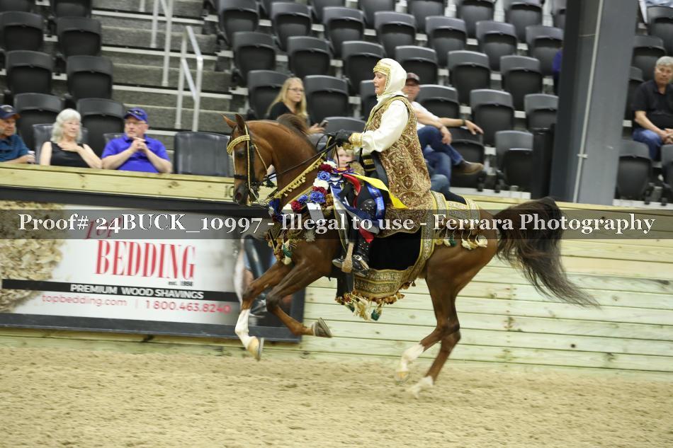 Proof Number 24BUCK_10997