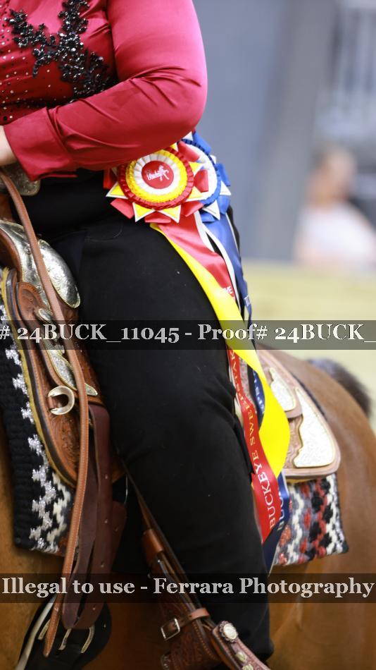 Proof Number 24BUCK_11045