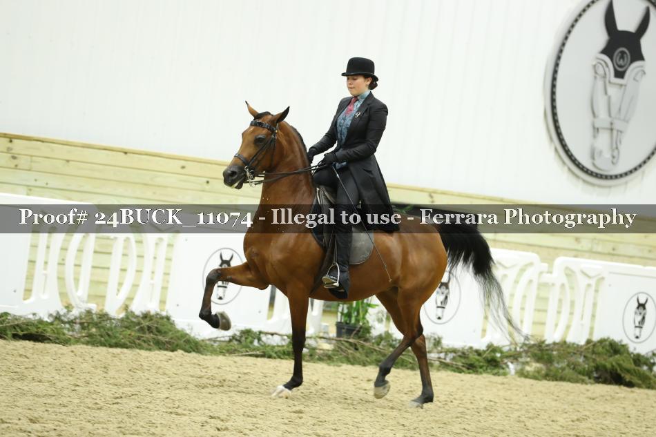 Proof Number 24BUCK_11074