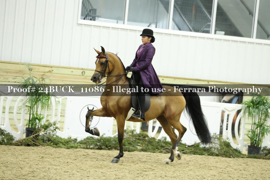 Proof Number 24BUCK_11086