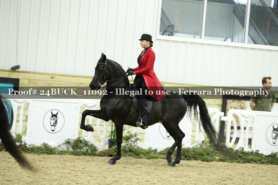Proof Number 24BUCK_11092