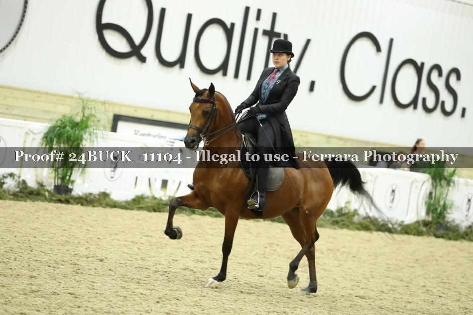 Proof Number 24BUCK_11104