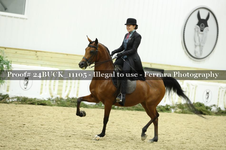 Proof Number 24BUCK_11105