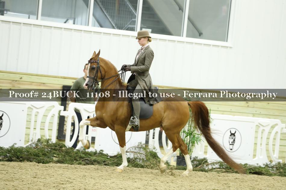 Proof Number 24BUCK_11108