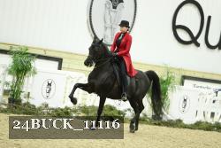 24BUCK_11116 thumbnail