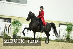 24BUCK_11119 thumbnail