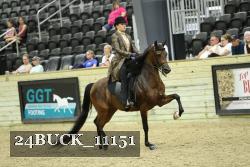 24BUCK_11151 thumbnail