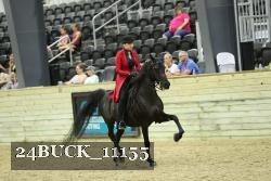 24BUCK_11155 thumbnail