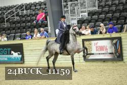 24BUCK_11159 thumbnail