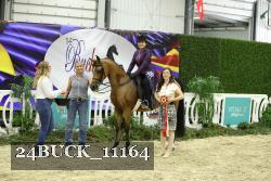 24BUCK_11164 thumbnail
