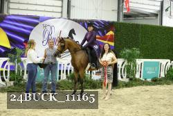 24BUCK_11165 thumbnail