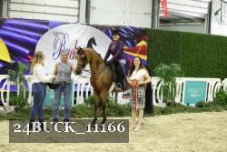 24BUCK_11166 thumbnail