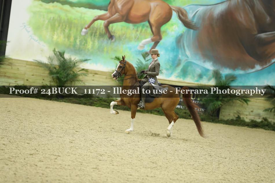 Proof Number 24BUCK_11172