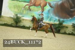 24BUCK_11172 thumbnail