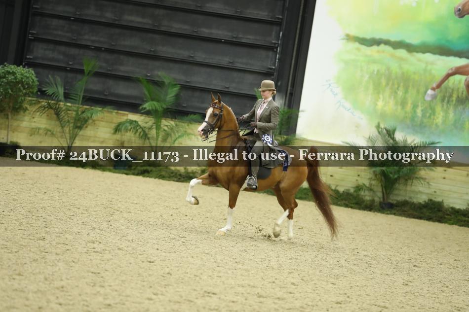 Proof Number 24BUCK_11173