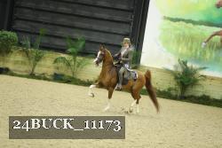 24BUCK_11173 thumbnail