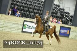 24BUCK_11174 thumbnail