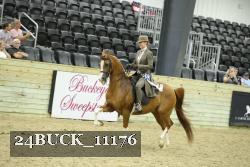 24BUCK_11176 thumbnail