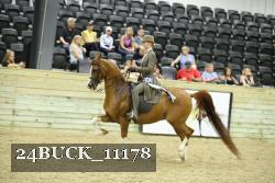 24BUCK_11178 thumbnail