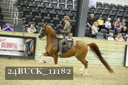 24BUCK_11182 thumbnail