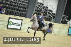 24BUCK_11185 thumbnail