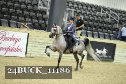 24BUCK_11186 thumbnail