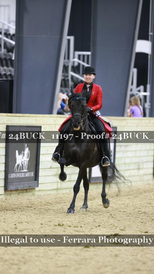 Proof Number 24BUCK_11197
