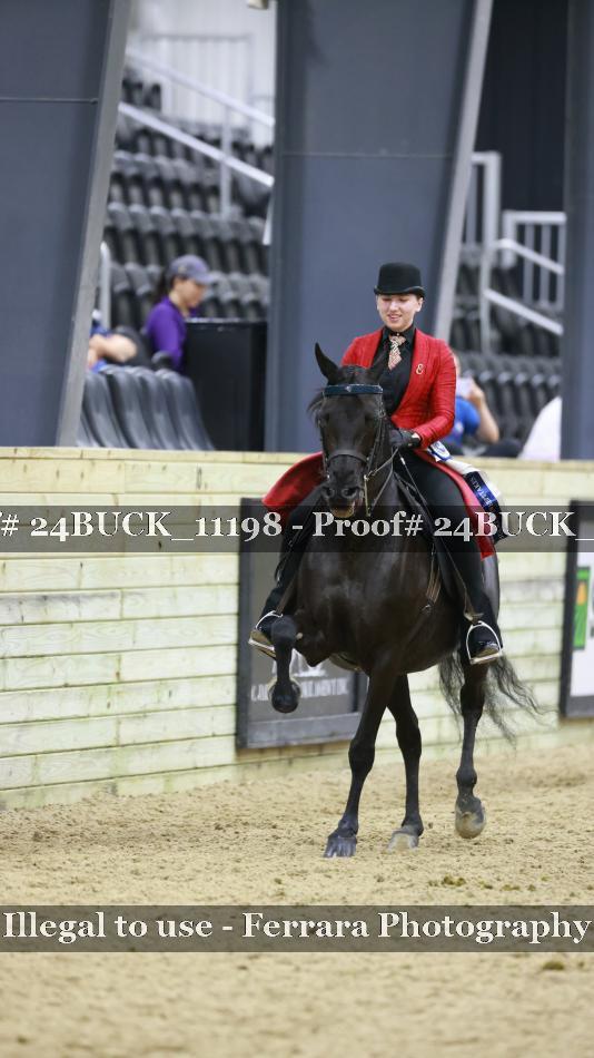 Proof Number 24BUCK_11198