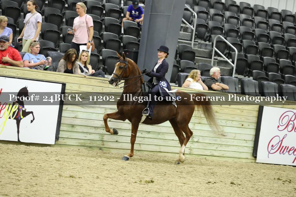 Proof Number 24BUCK_11202