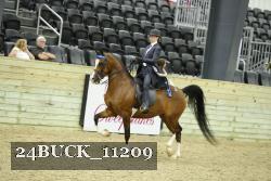 24BUCK_11209 thumbnail